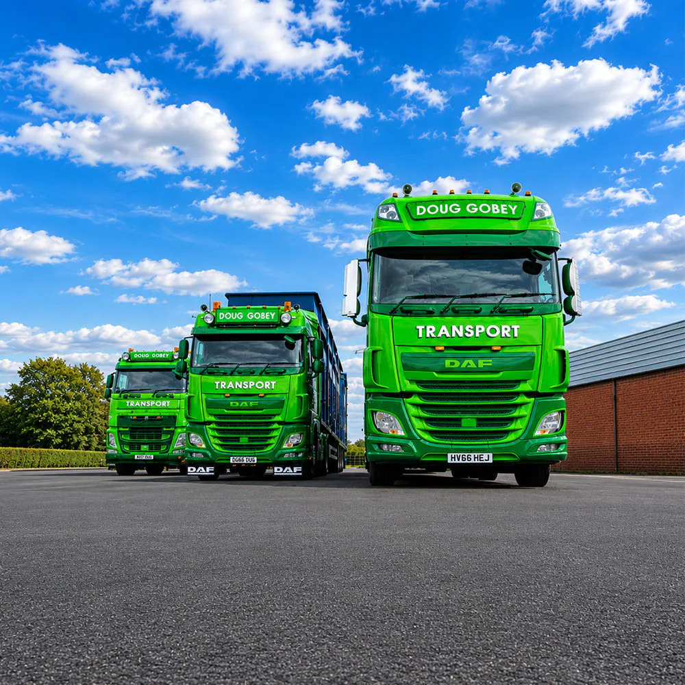 Three Doug Gobey Transport lorry cabs lined up in the yard